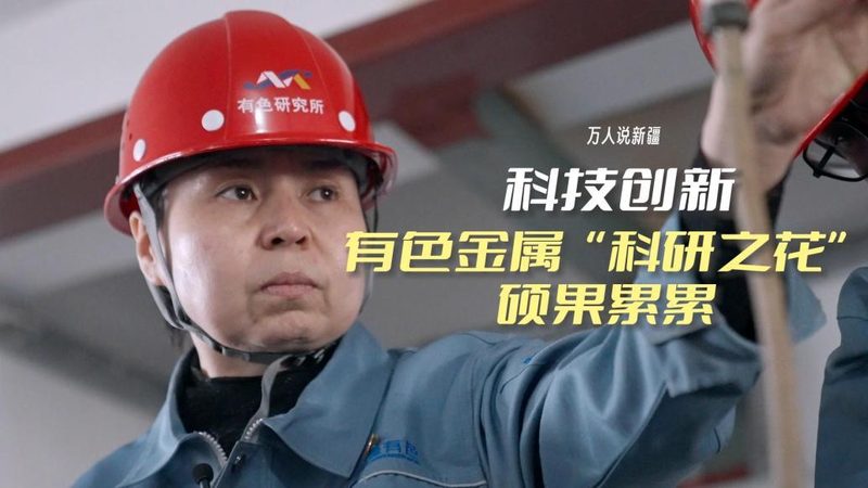 中小型企业数据湖平台的选型逻辑与技术考量